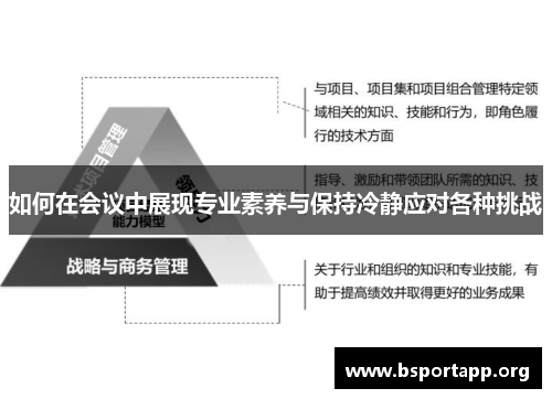 如何在会议中展现专业素养与保持冷静应对各种挑战
