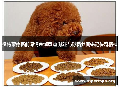 多特蒙德赛前深情哀悼泰迪 球迷与球员共同铭记传奇精神