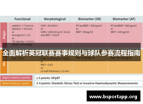 全面解析英冠联赛赛事规则与球队参赛流程指南 全面解析英冠联赛赛事规则与球队参赛流程指南